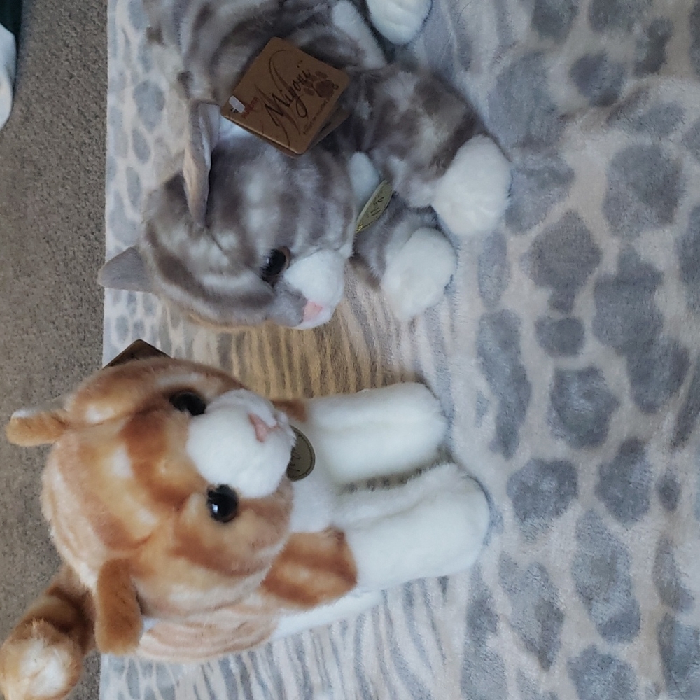 Stuffed animals, kittens